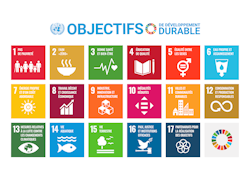 Logo des 17 Objectifs de développement durable de l'ONU en français