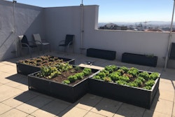 Jardin en rooftop
