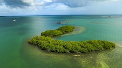 Photo en drone de la mangrove