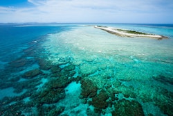 Photo d'une barrière de corail