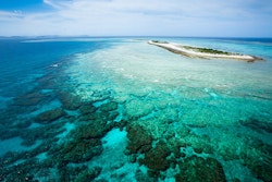 Picture of a Reef